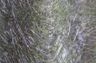 East Week fibreglass roof work